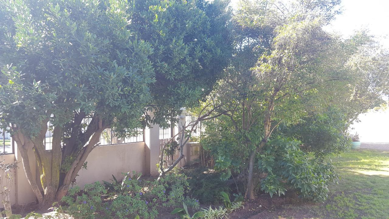 Blu Bed & Breakfast Port Elizabeth Bagian luar foto