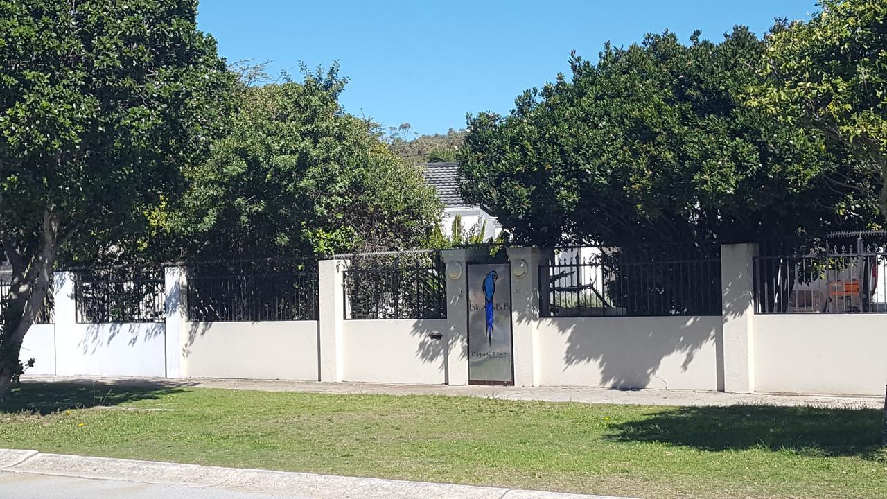 Blu Bed & Breakfast Port Elizabeth Bagian luar foto